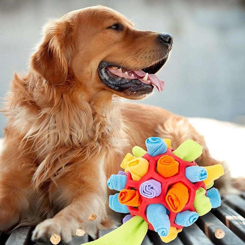 Dog Chew Toy Fun Snuffle Ball