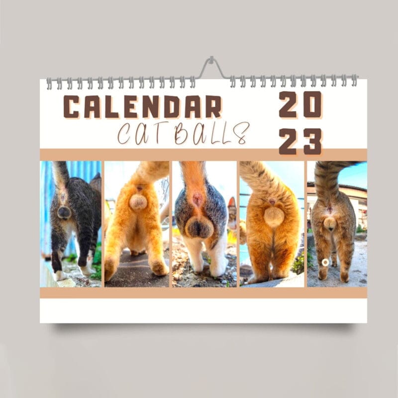 2023 Funny Pets Calendar - Pissed-Off Cats & Cat's Butt & Dogs Pooping