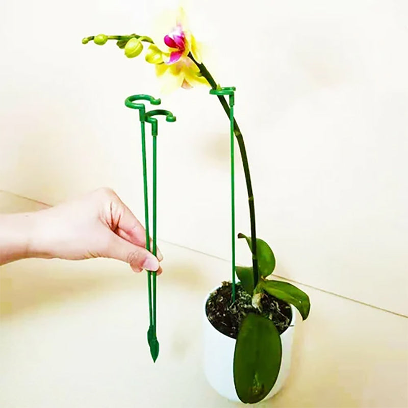 🏡50% OFF🏡Plant Support Stake