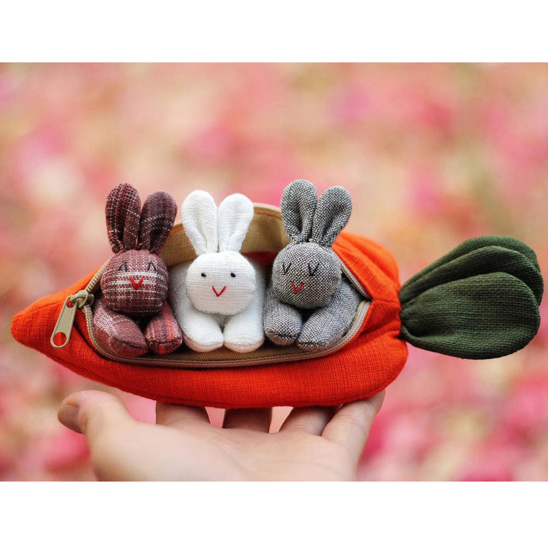 Easter Hide-and-Seek Bunnies in Carrot Pouch