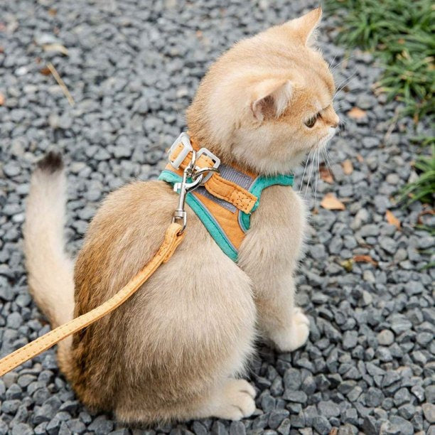 Cat Vest Harness and Leash Set