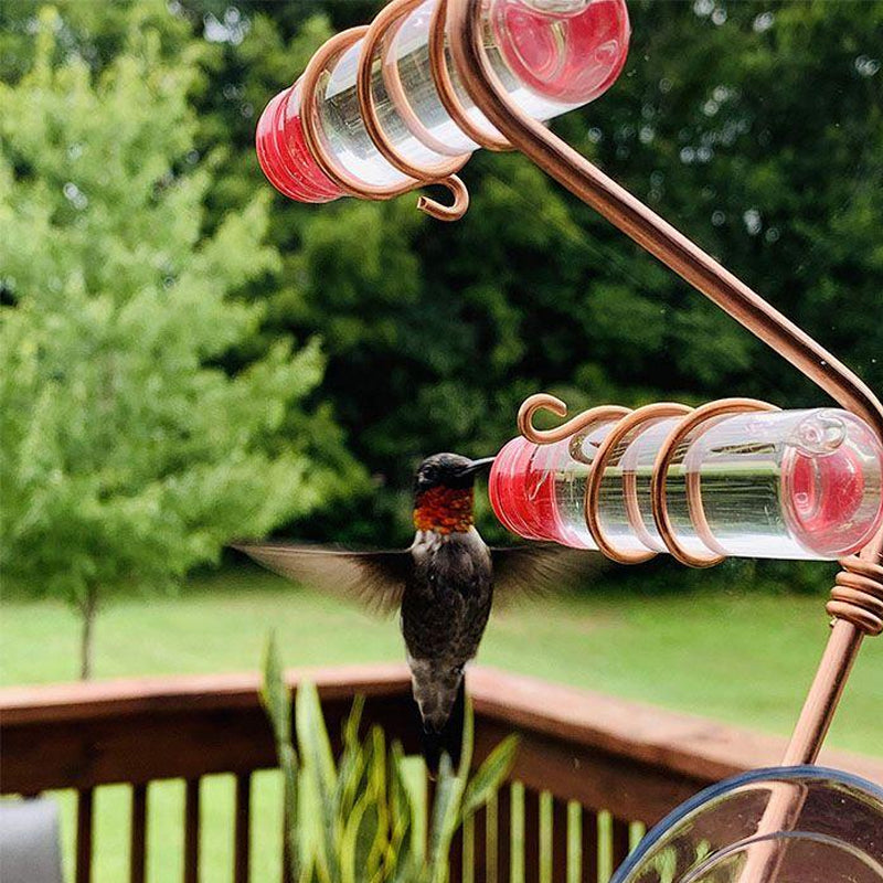 Geometric Window Hummingbird Feeder