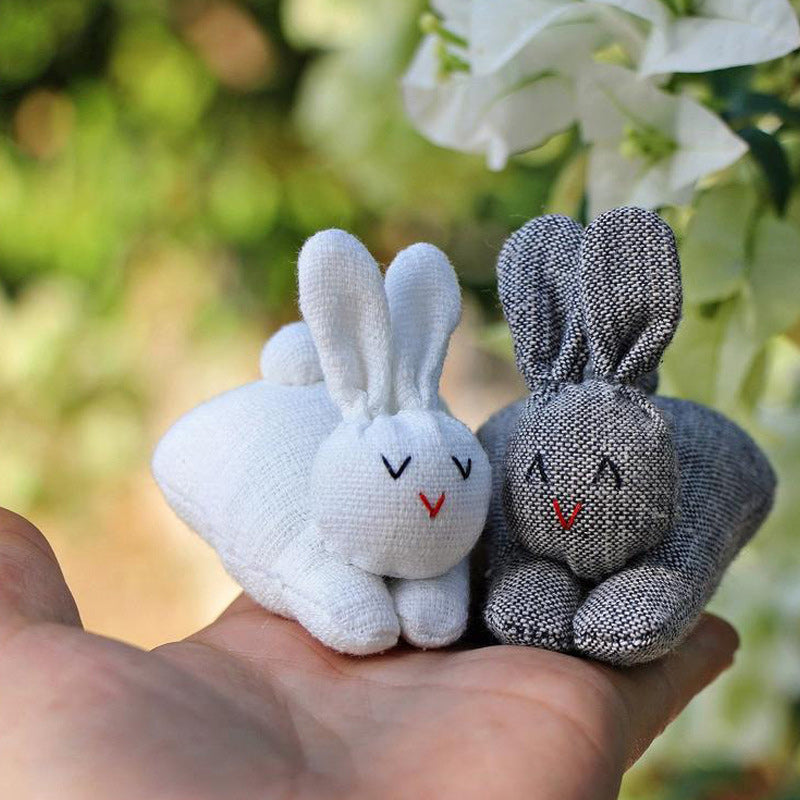 Easter Hide-and-Seek Bunnies in Carrot Pouch