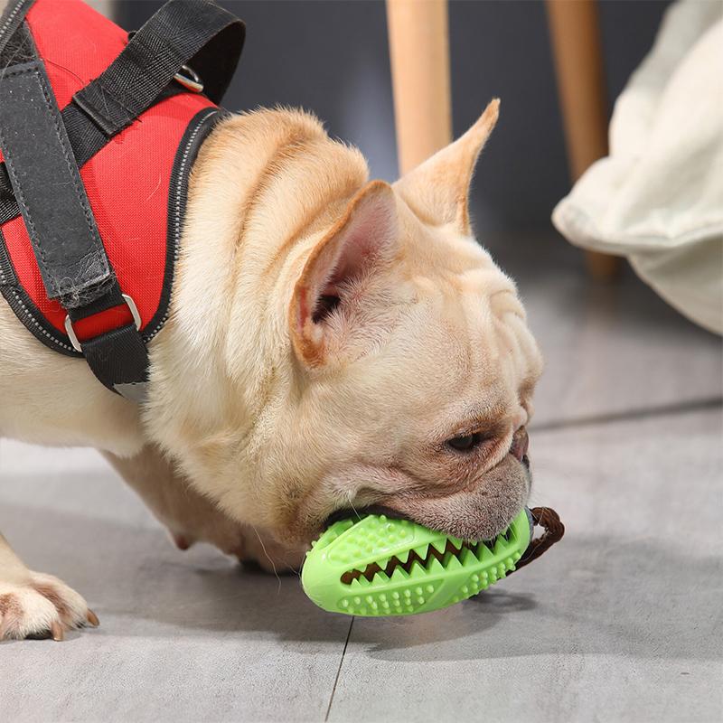 DOG TOOTHBRUSH TOY