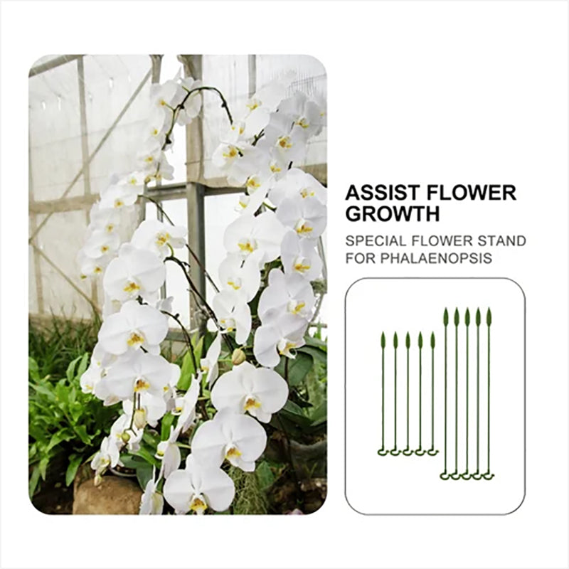 🏡50% OFF🏡Plant Support Stake