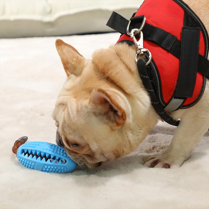 DOG TOOTHBRUSH TOY