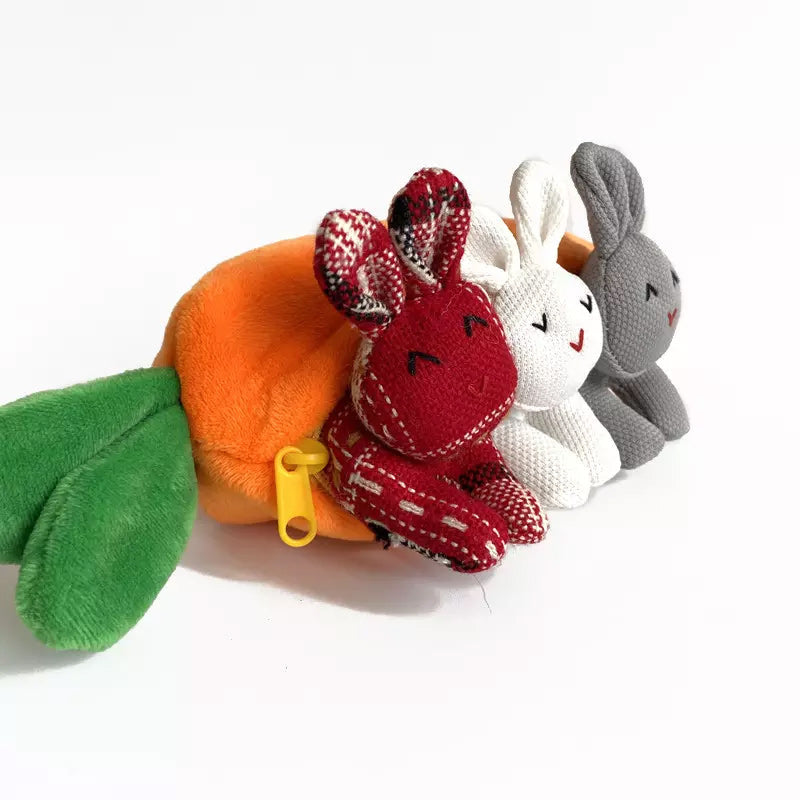 Easter Hide-and-Seek Bunnies in Carrot Pouch