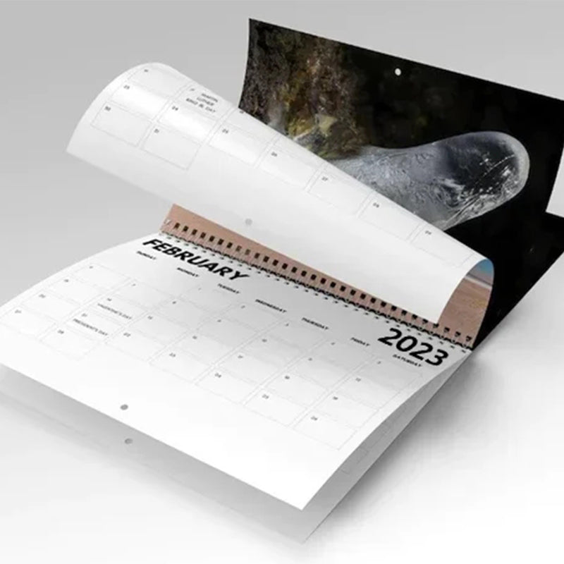 Funny 2023 Calendar - Holiday Gift Prank Item