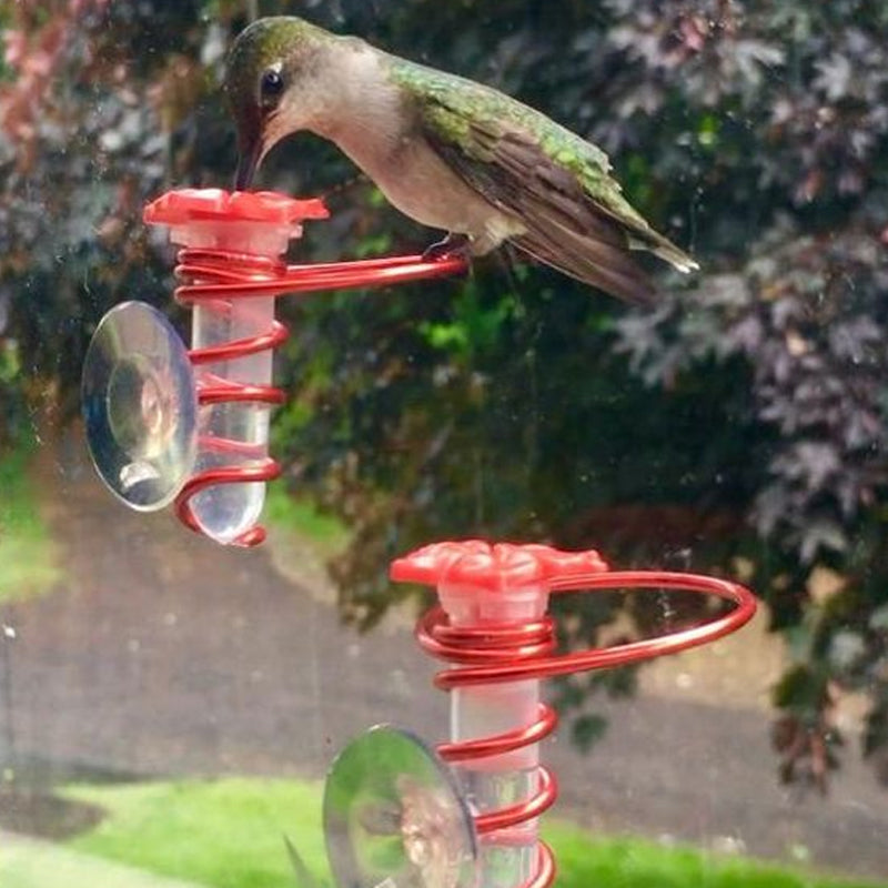 Geometric Window Hummingbird Feeder