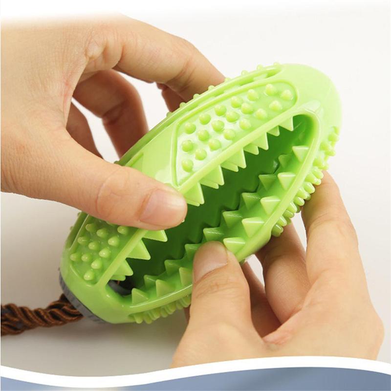 DOG TOOTHBRUSH TOY