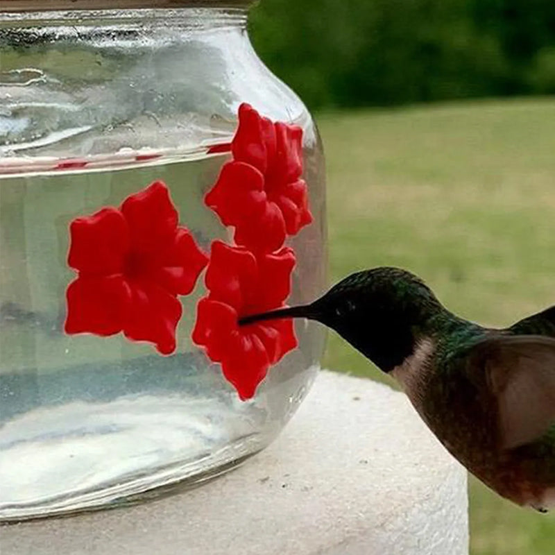 Beautiful Mason Jar Hummingbird Feeder with Three Ports