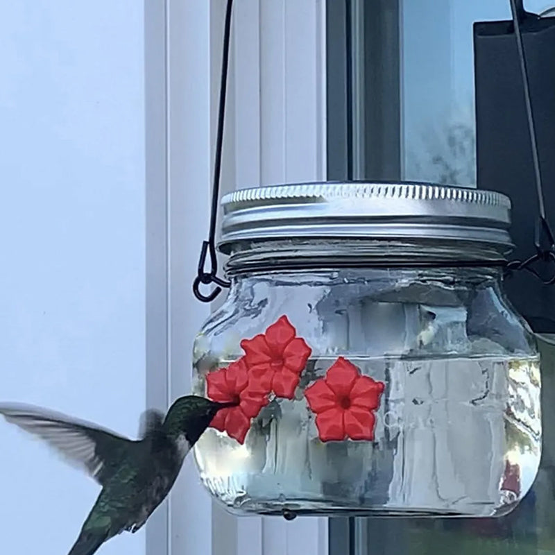 Beautiful Mason Jar Hummingbird Feeder with Three Ports