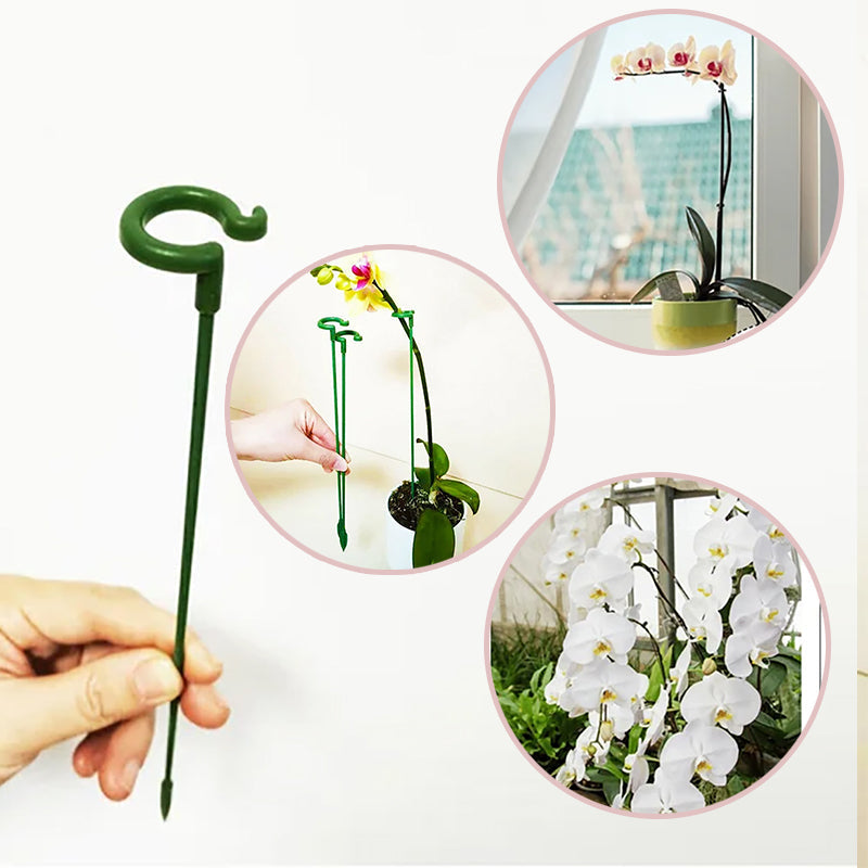 🏡50% OFF🏡Plant Support Stake