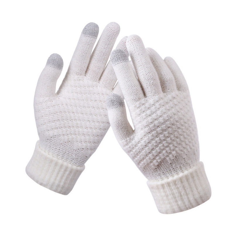 Jacquard Thick Warm Touch Screen Gloves for Women